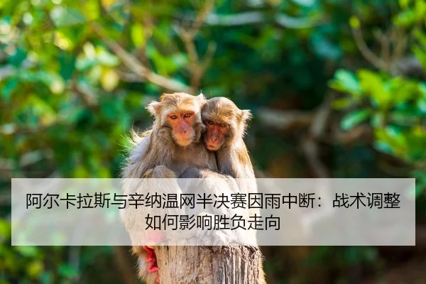a-er-ka-la-si-yu-xin-na-wen-wang-ban-jue-sai-yin-yu-zhong-duan-zhan-shu-tiao-zheng-ru-he-ying-xiang-sheng-fu-zou-xiang-2-553.jpg