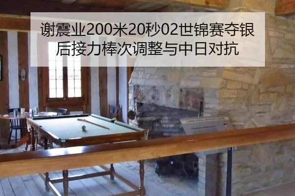 谢震业200米20秒02世锦赛夺银后接力棒次调整与中日对抗