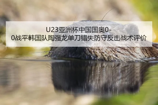 ya-zhou-bei-zhong-guo-guo-ao-zhan-ping-han-guo-dui-tao-qiang-long-dan-dao-cuo-shi-fang-shou-fan-ji-zhan-shu-ping-jia-3-929.jpg