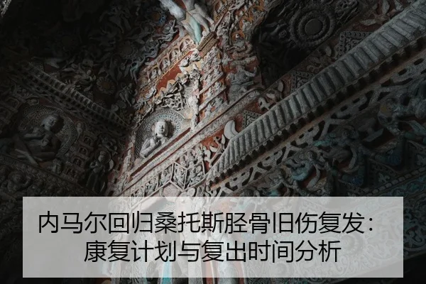 nei-ma-er-hui-gui-sang-tuo-si-jing-gu-jiu-shang-fu-fa-kang-fu-ji-hua-yu-fu-chu-shi-jian-fen-xi-3-415.jpg
